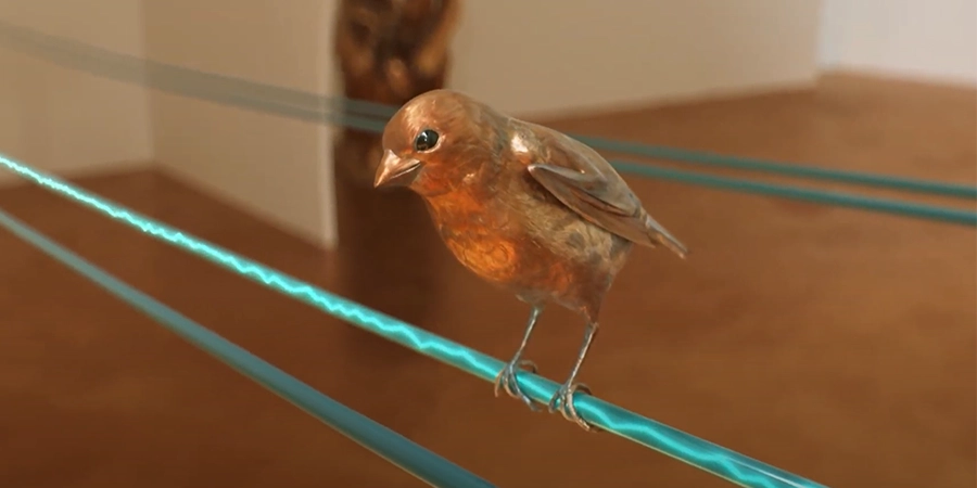 A bird perched on a wire, with additional wires running parallel, set against a wooden floor in a minimalist indoor space.
