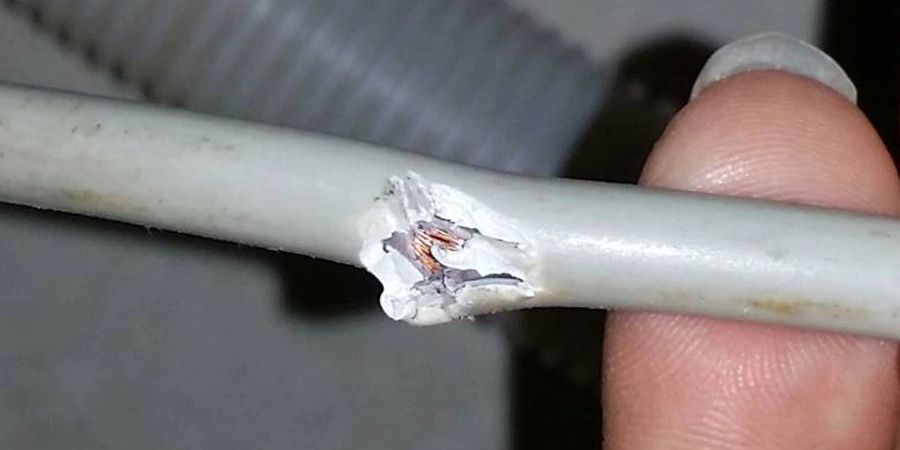 A close-up image of a damaged electrical wire with a torn outer insulation, exposing the copper strands inside. A finger is holding the wire, showing the break clearly against a blurred background.