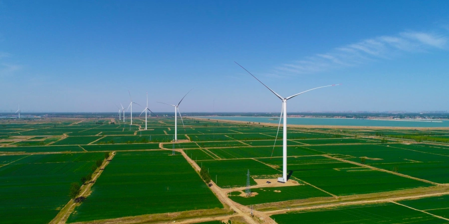 An aerial perspective of a wind farm featuring multiple tall wind turbines with white blades, spread across a vast expanse of green agricultural fields. The turbines are aligned in rows, with a clear blue sky above and a body of water visible in the distance, creating a harmonious blend of renewable energy infrastructure and natural landscape.