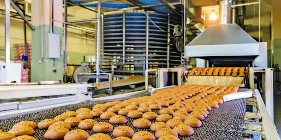 A dynamic industrial scene in a modern food processing facility, featuring a gleaming metal conveyor belt loaded with rows of golden-brown, round cookies—fresh from the oven and dusted with a subtle spice coating. The belt curves toward a large, open-faced industrial oven emitting a warm glow, with trays of baking trays stacked nearby. In the blurred background, stainless steel racks, towering silos, scattered cardboard boxes.